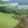 Fotosúťaž o najzaujímavejšie zachytenie Richvaldu a života v ňom